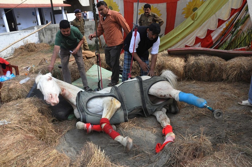 Shaktimaan