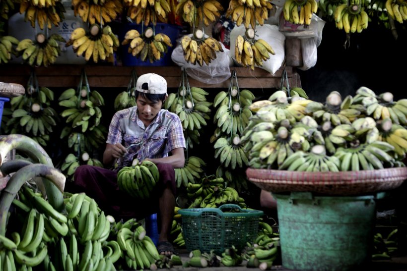 banana