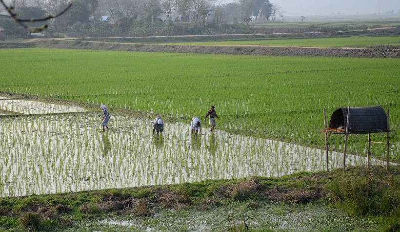 Farmers get tax notices