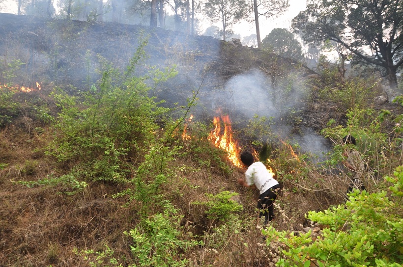 Rudraprayag: A fire that broke out in forests near Rudraprayag of Uttarakhand on April 30, 2016. (Photo: IANS)