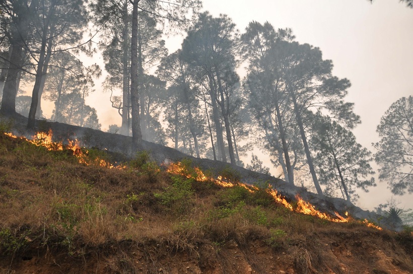 Rudraprayag: A fire that broke out in forests near Rudraprayag of Uttarakhand on April 30, 2016. (Photo: IANS)