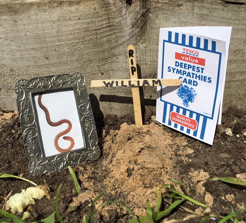 Worm's Funeral