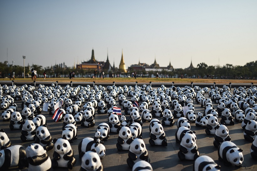 Papier-mache pandas during an exhibition of the papier-mache artwork, in Bangkok, Thailand
